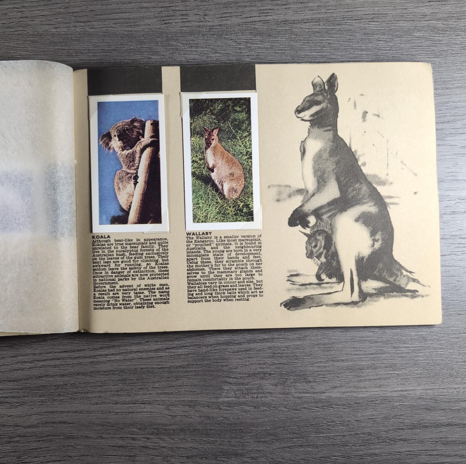Hornimans Tea Picture Card Album On Safari Complete Set