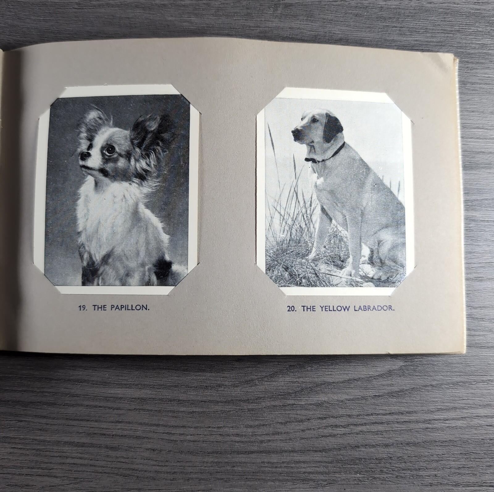 Good Dogs Trex J Bibby 1955 Full Set 25 Cards In Album Collectors Trading Cards