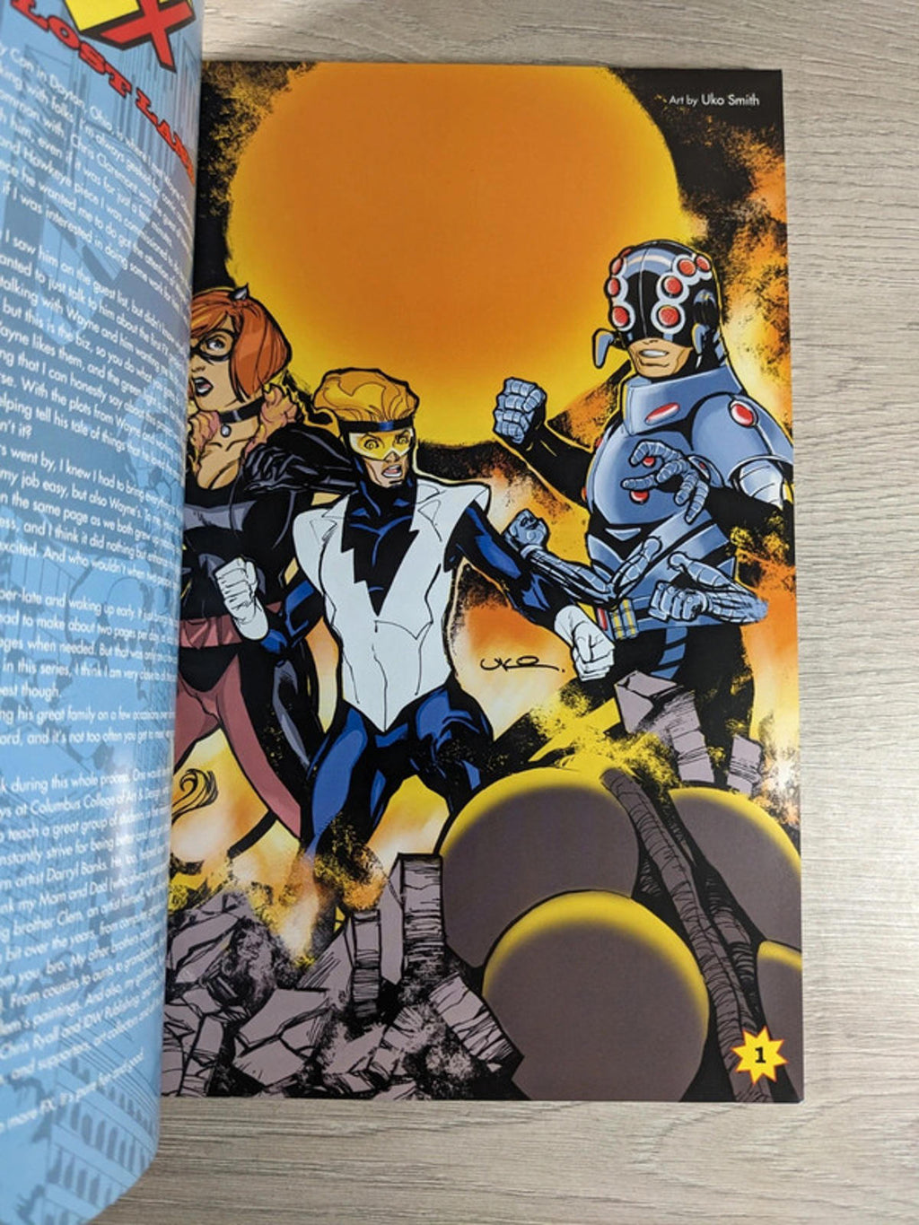 FX 2: The Lost Land Wayne Osborne IDW Paperback 2011 Graphic Novel