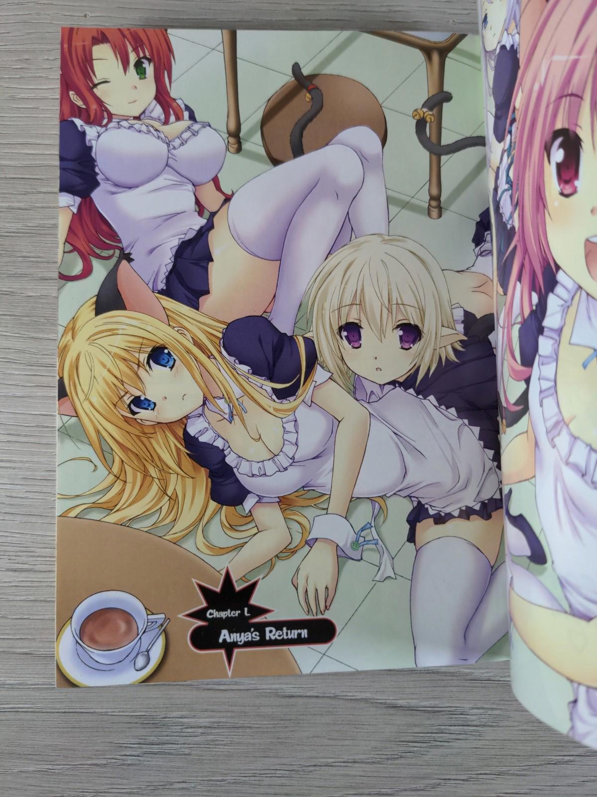 Dragonar Academy Vol. 11 by Shiki Mizuchi Manga Paperback Graphic Novel 2017 - Retrorama UK