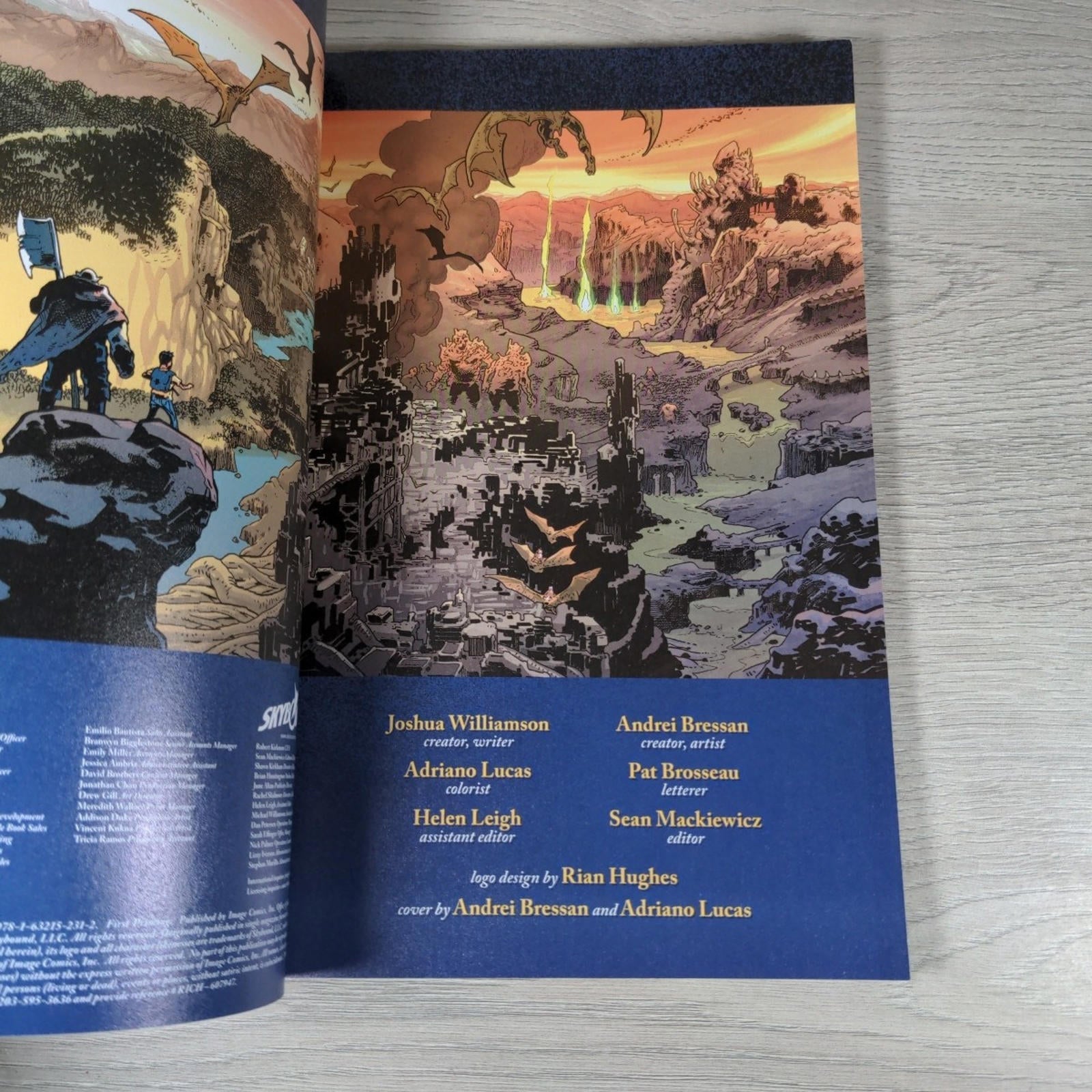 Birthright Volume 1: Homecoming by Joshua Williamson Paperback 2018 Image Comics - Retrorama UK