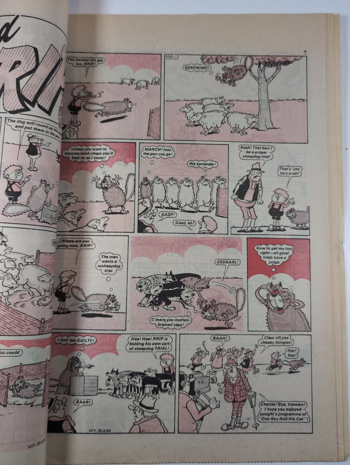 Nutty Comic Featuring Bananaman Issue No. 229 June 20th 1984 Vintage Retro Comic