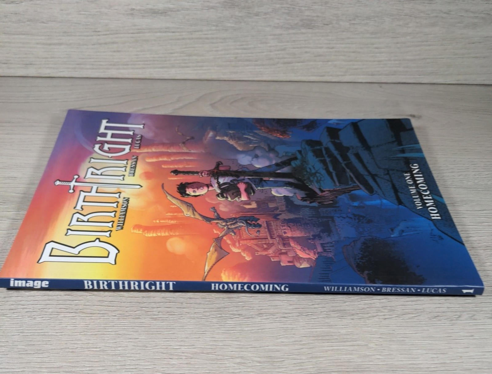 Birthright Volume 1: Homecoming by Joshua Williamson Paperback 2018 Image Comics - Retrorama UK