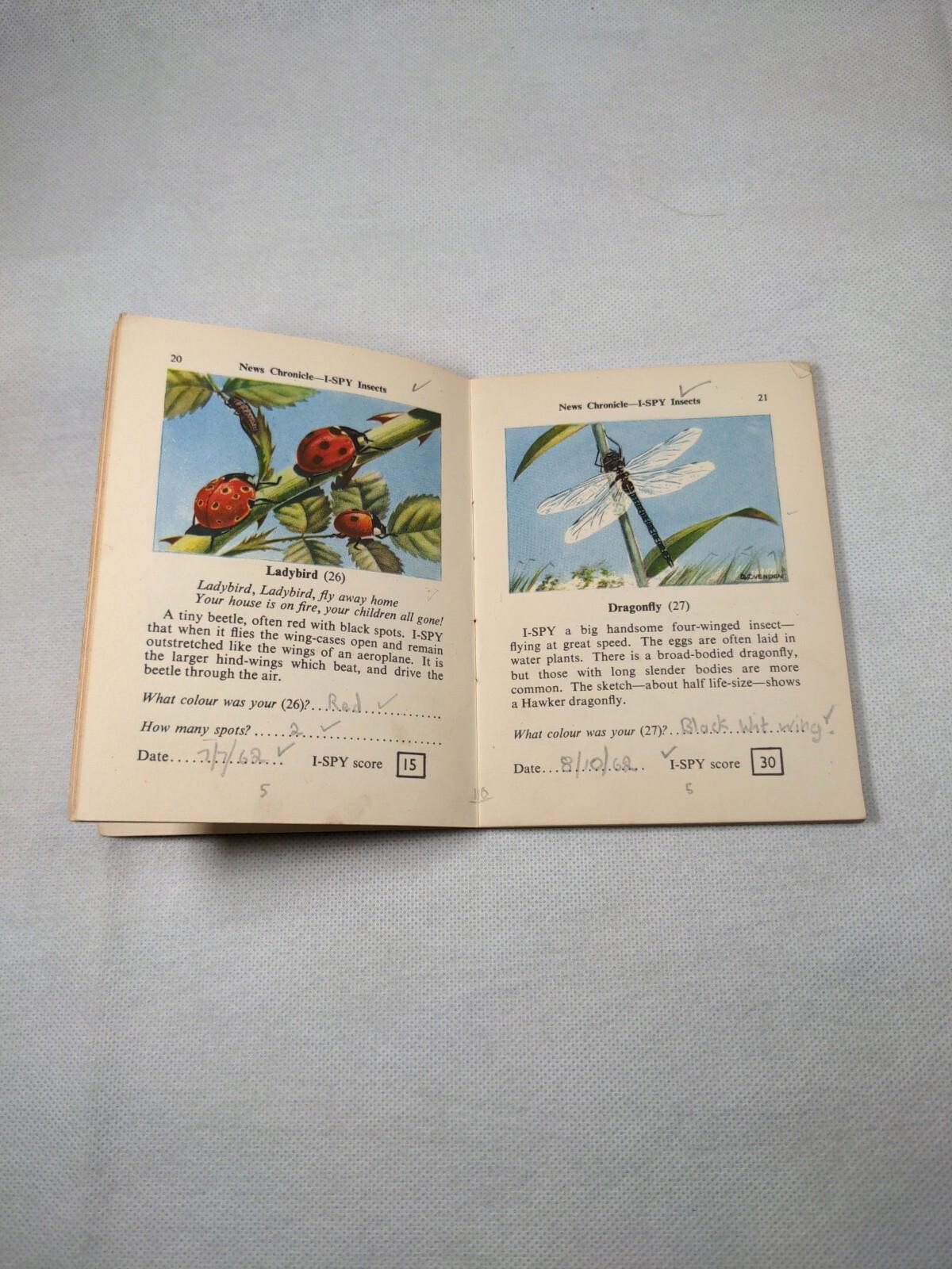 Vintage I-Spy News Chronicle Book Issue Insects - Retrorama UK