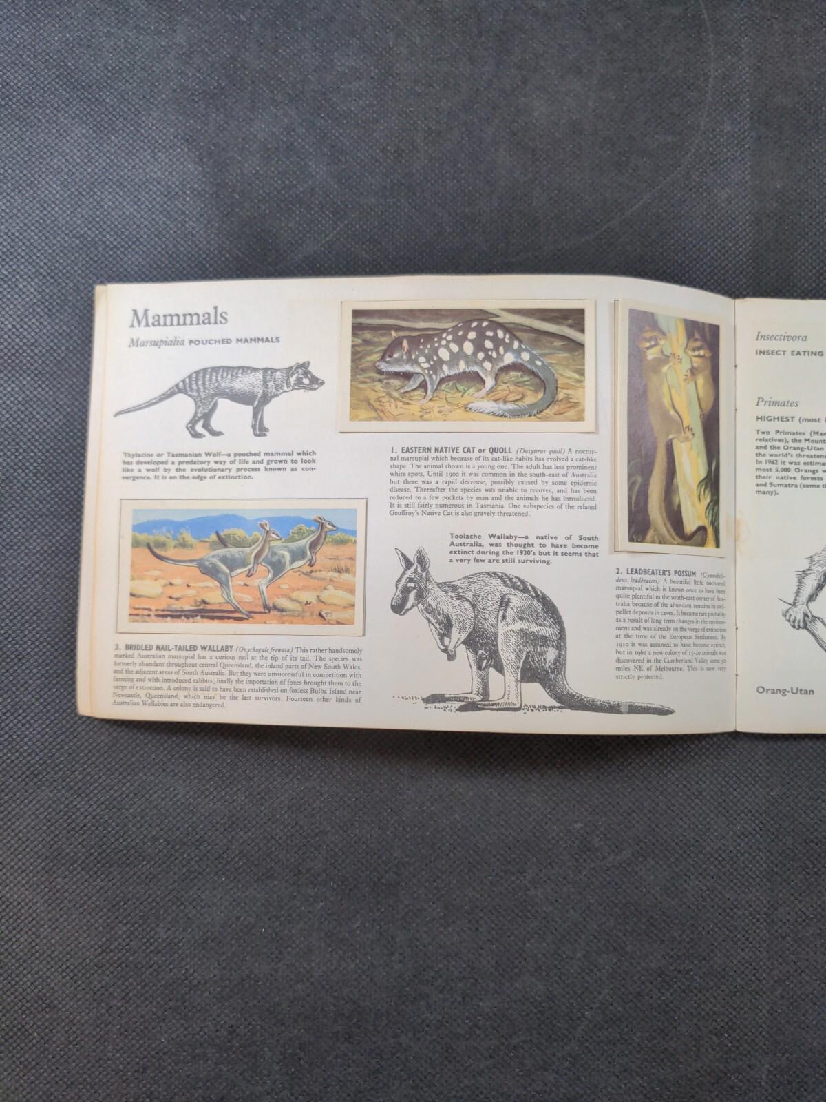 Brooke Bond Tea Wildlife in Danger Picture Card Album Complete Set