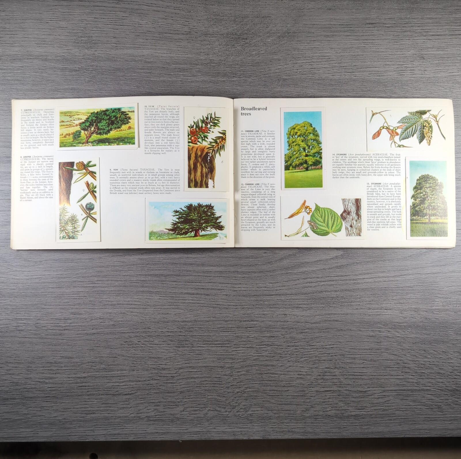 Brooke Bond Tea Picture Cards Album Trees In Britain Complete Set