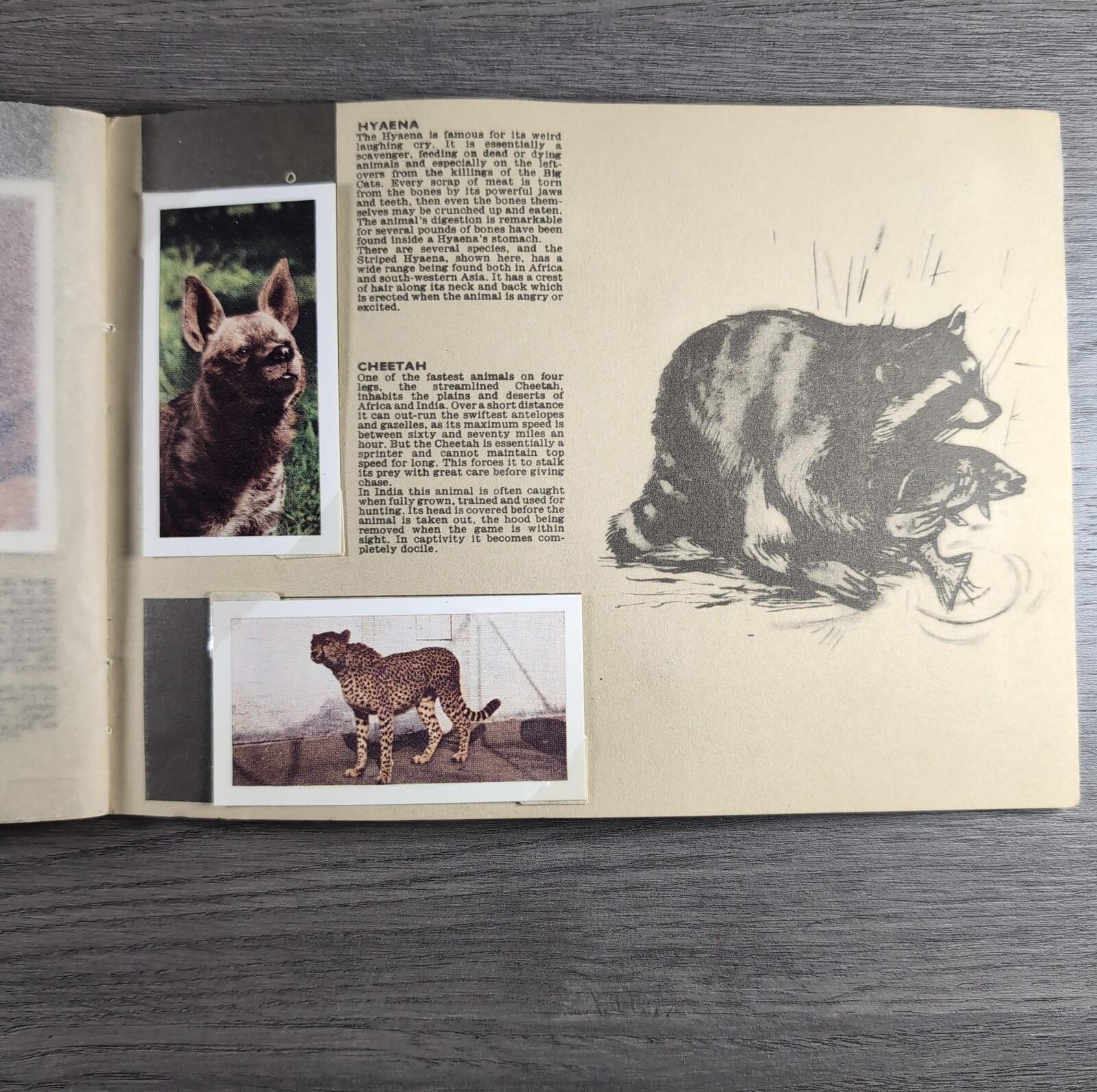 Hornimans Tea Picture Card Album On Safari Complete Set