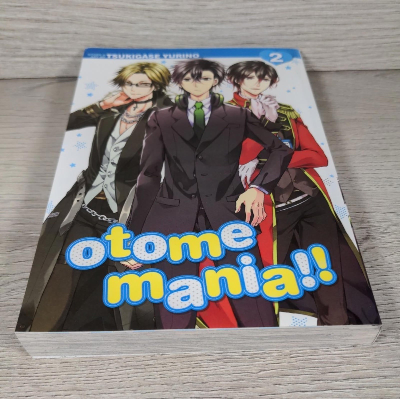 Otome Mania!! Vol. 2 by Yurino Tsukigase  Manga Paperback Book 2017