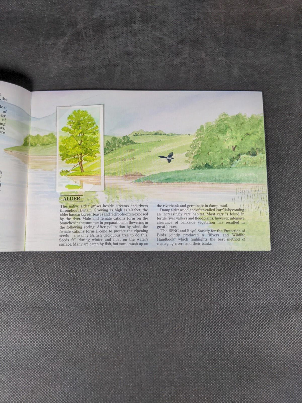 Brooke Bond Tea Cards: A Journey Downstream Album Complete All Cards In The Set