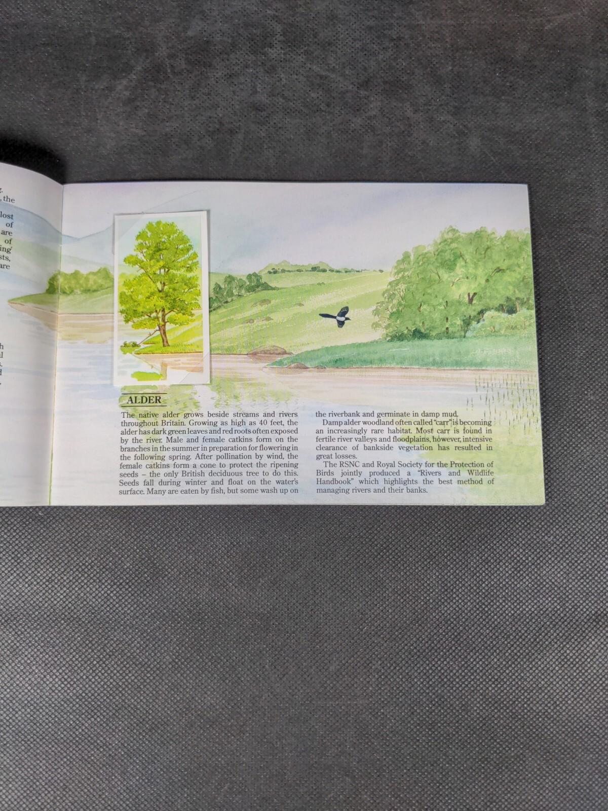 Brooke Bond Tea Cards: A Journey Downstream Album Complete All Cards In The Set