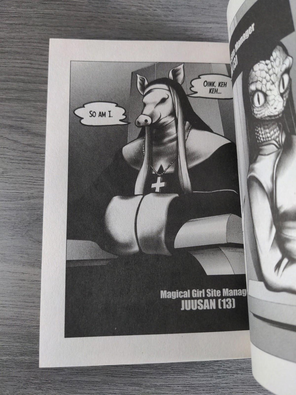 Magical Girl Site Vol. 6 by Kentaro Sato  Manga Graphic Novel Paperback 2018