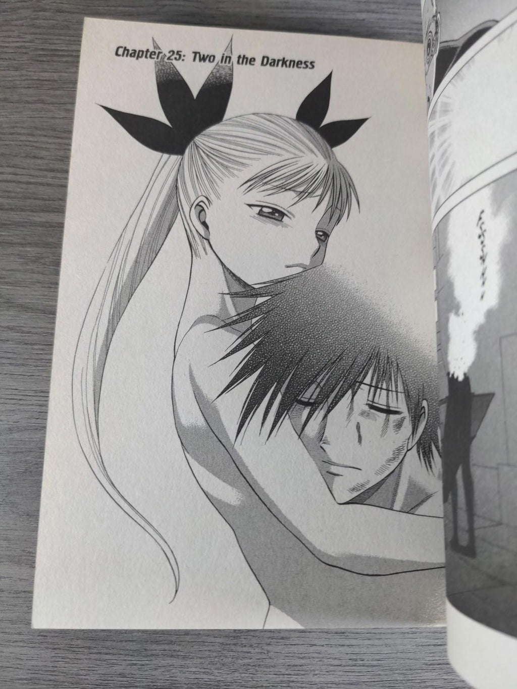 Dance in the Vampire Bund Vol. 5 by Tamaki, Nozomu Graphic Novel Paperback Book - Retrorama UK