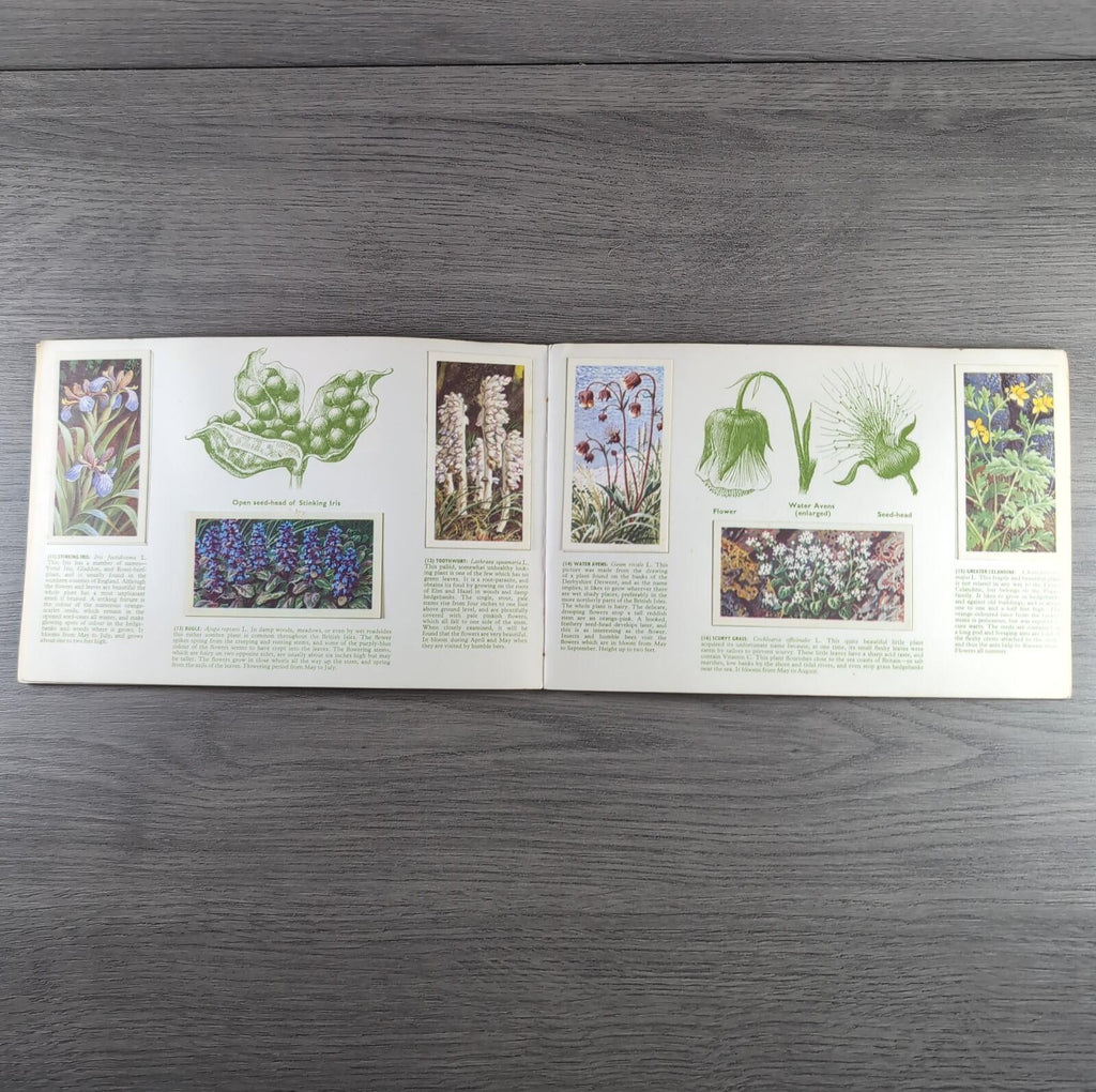Brooke Bond Tea Picture Cards Album Wild Flowers Complete Set