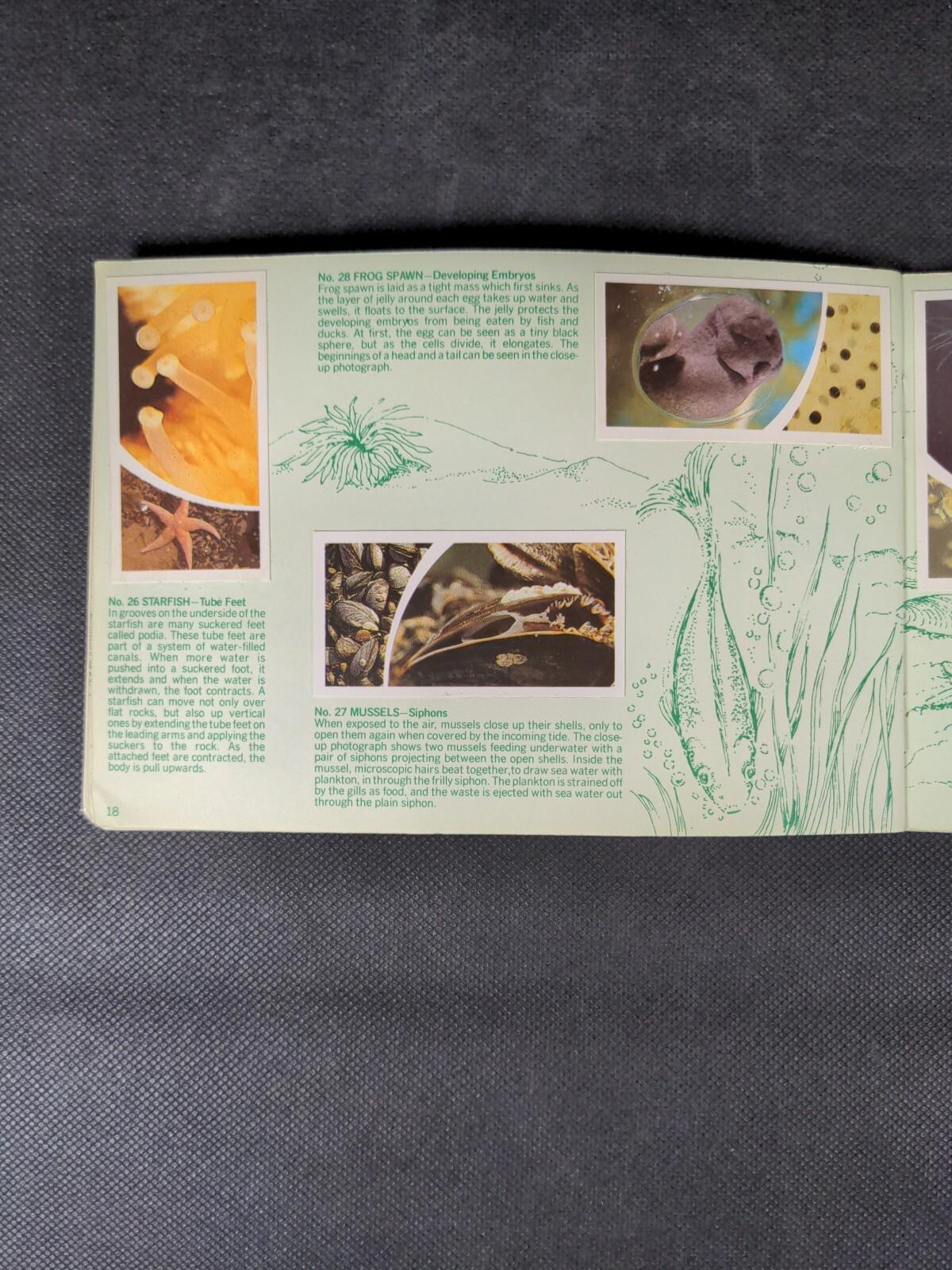 Brooke Bond Tea Cards: Small Wonders Album Complete With All Cards In The Set