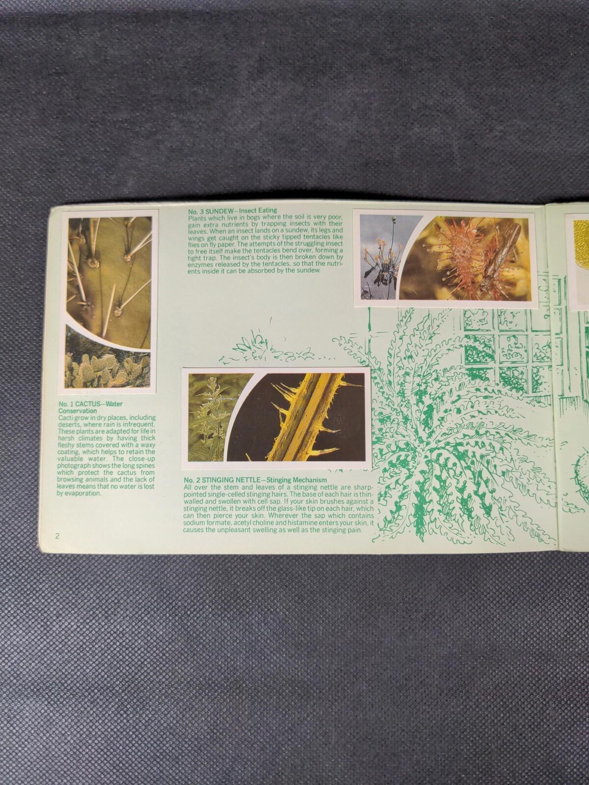 Brooke Bond Tea Cards: Small Wonders Album Complete With All Cards In The Set