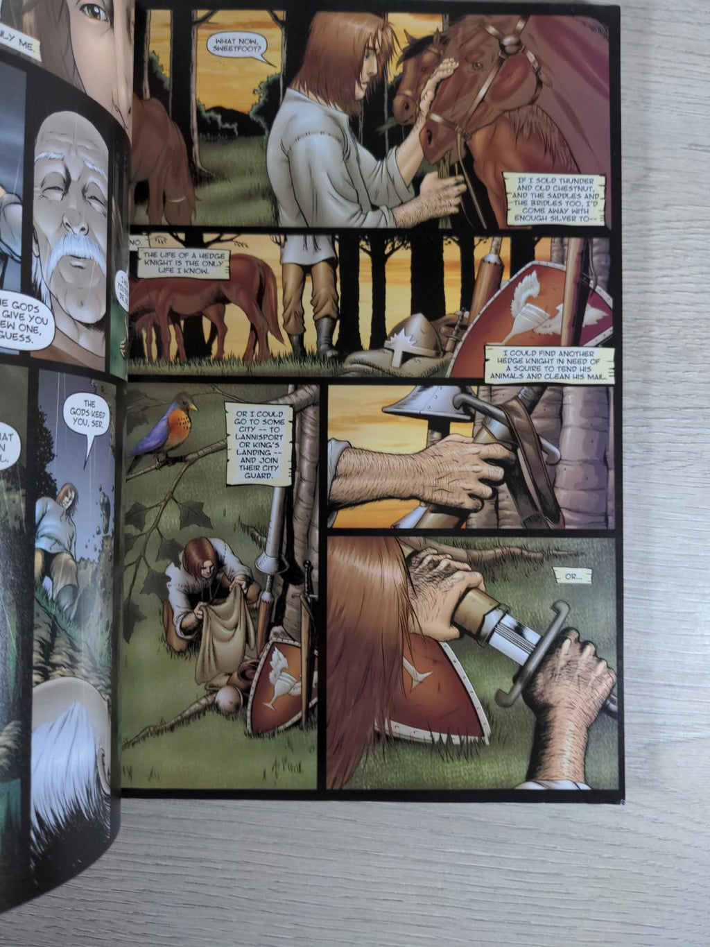 The Hedge Knight: Prequel GOT Graphic Novel George R. R. Martin Jet City Comics