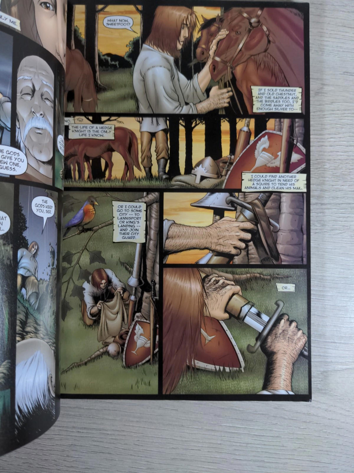 The Hedge Knight: Prequel GOT Graphic Novel George R. R. Martin Jet City Comics