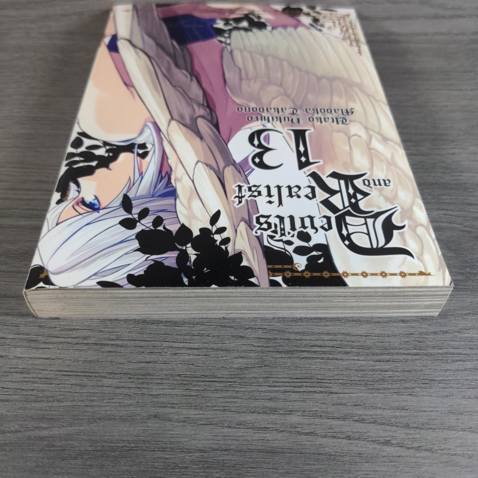 Devils and Realist Vol 13 Madoka Takadono Paperback Manga Book 2017