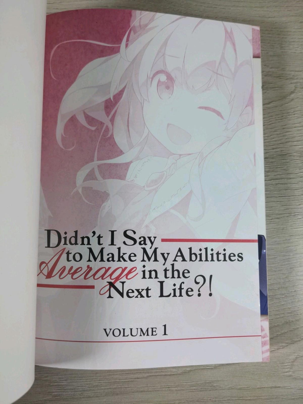 Didn't I Say to Make My Abilities Average in the Next Life?!  Paperback Book