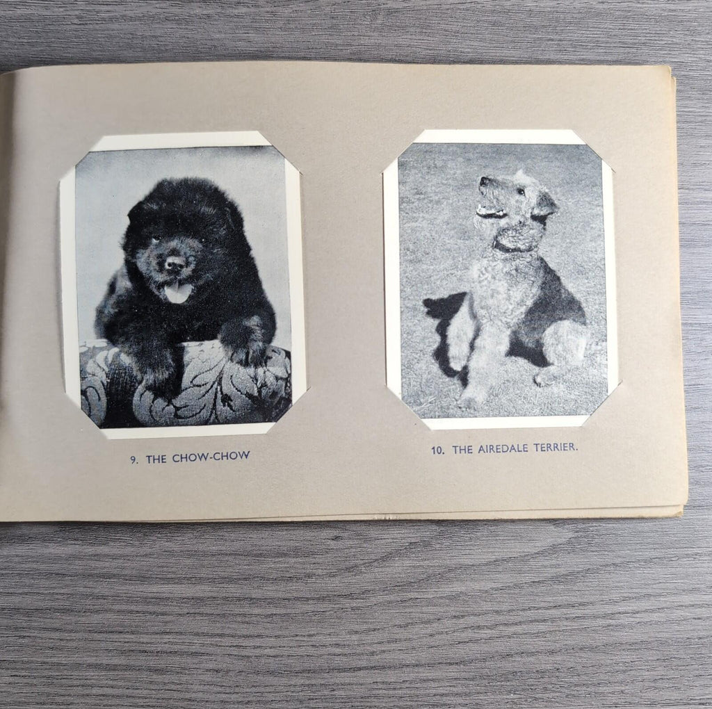 Good Dogs Trex J Bibby 1955 Full Set 25 Cards In Album Collectors Trading Cards