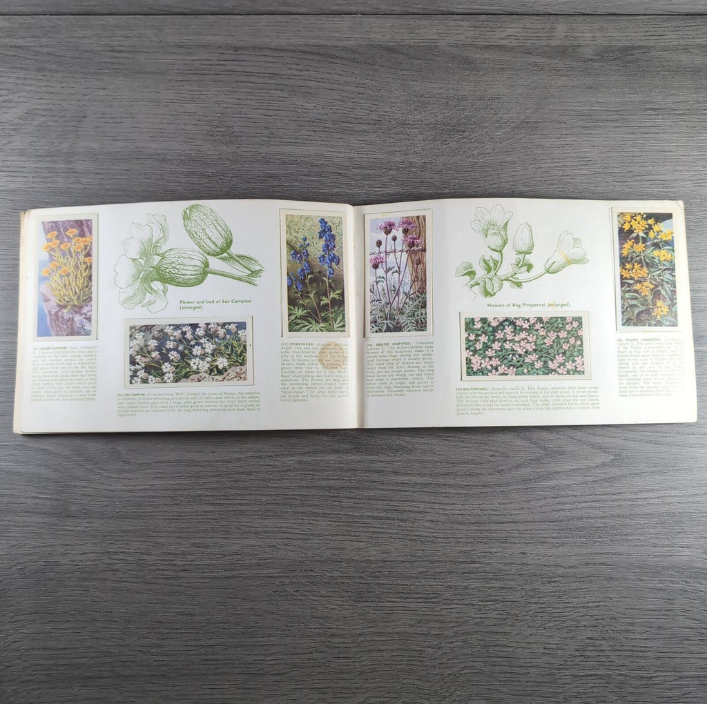 Brooke Bond Tea Picture Cards Album Wild Flowers Complete Set