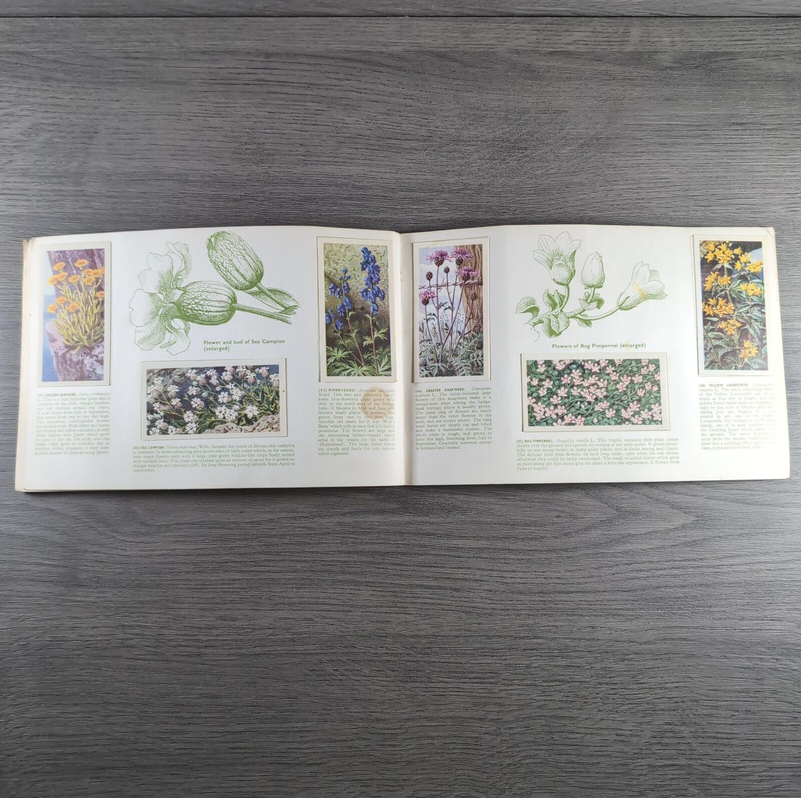 Brooke Bond Tea Picture Cards Album Wild Flowers Complete Set