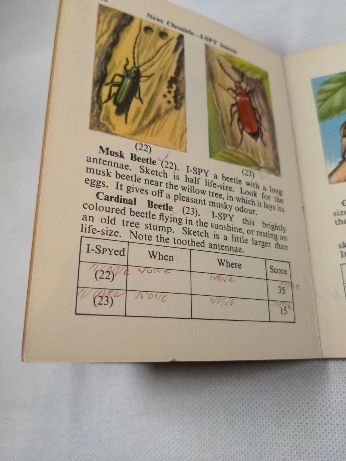 Vintage I-Spy News Chronicle Book Issue Insects - Retrorama UK