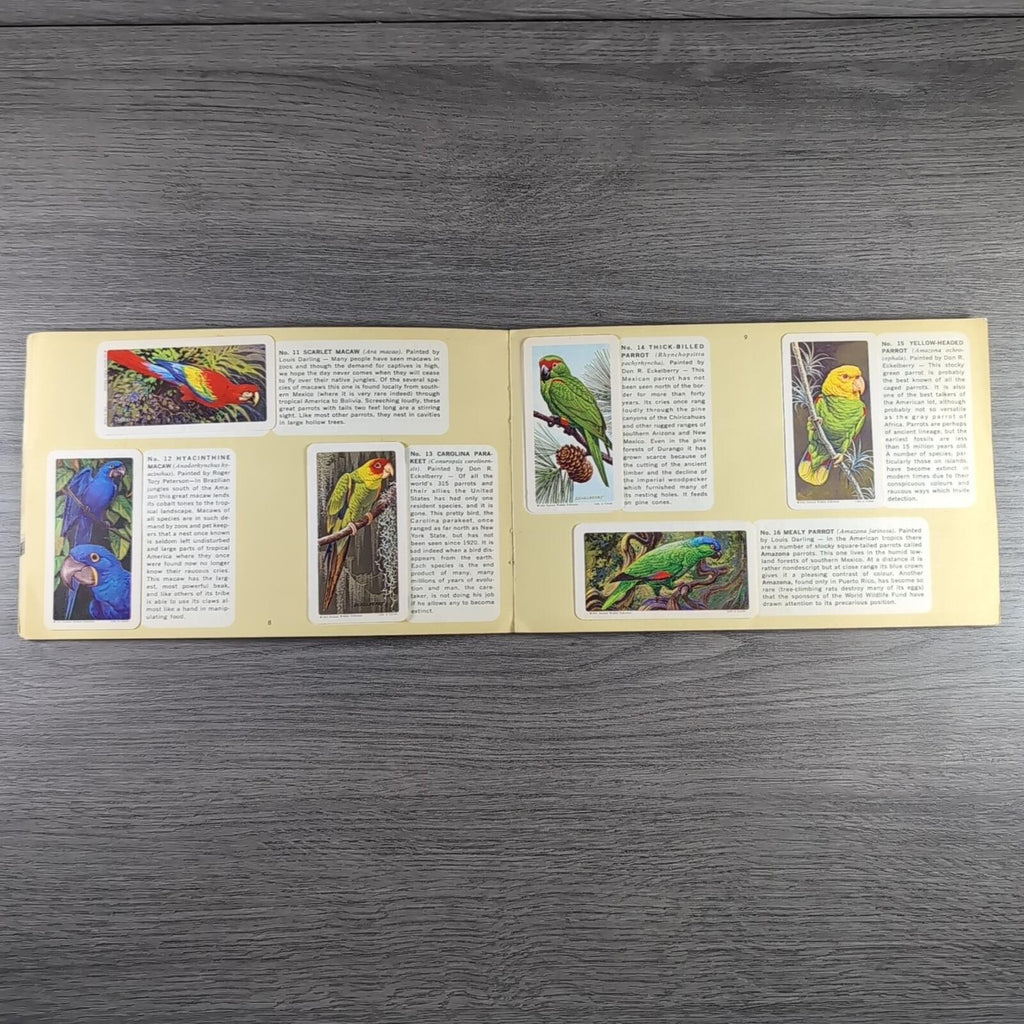 Brooke Bond Tea Picture Card Album No 6 Tropical Birds Complete Set Canada Issue