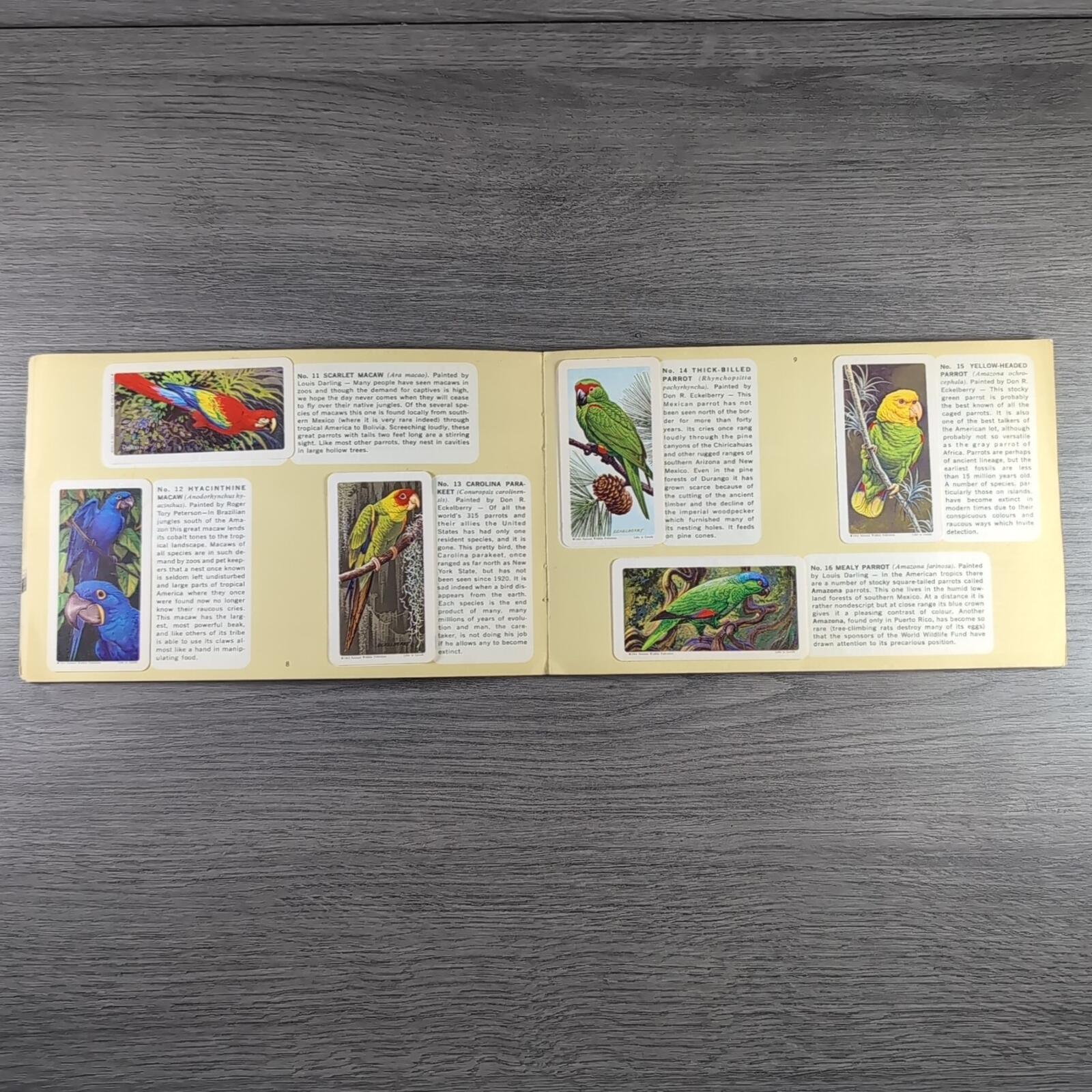 Brooke Bond Tea Picture Card Album No 6 Tropical Birds Complete Set Canada Issue