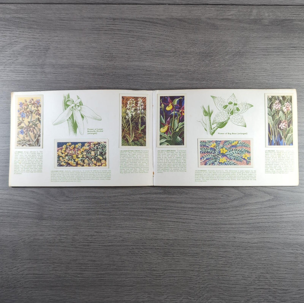 Brooke Bond Tea Picture Cards Album Wild Flowers Complete Set