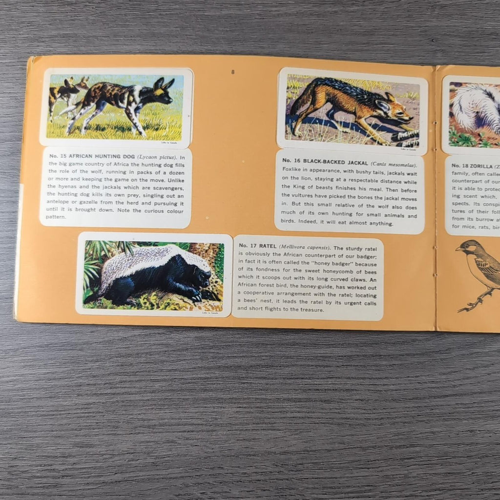 African Animals Brooke Bond Album No 7 Tea Cards Vintage Collectors Cards