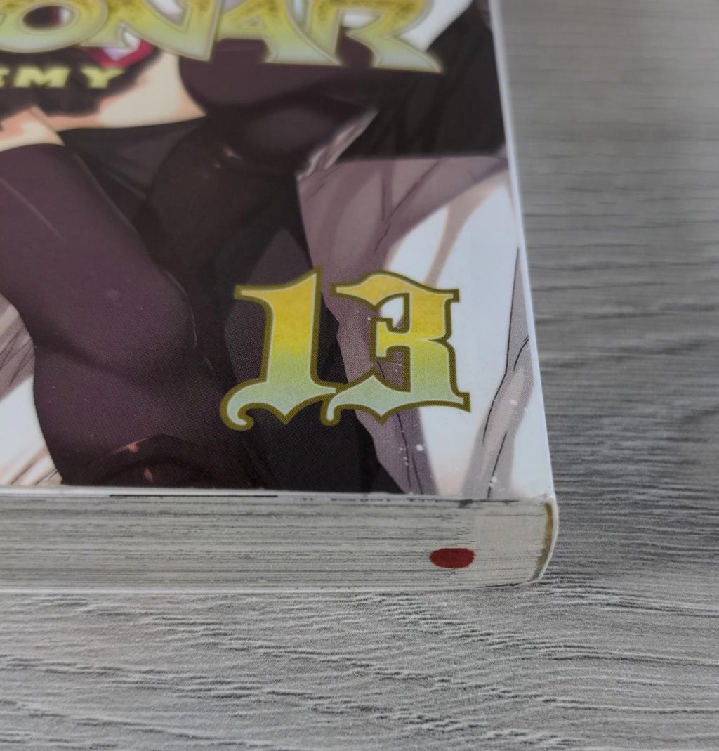Dragonar Academy Vol 13 Shiki Mizuch Manga Graphic Novel Paperback Book - Retrorama UK