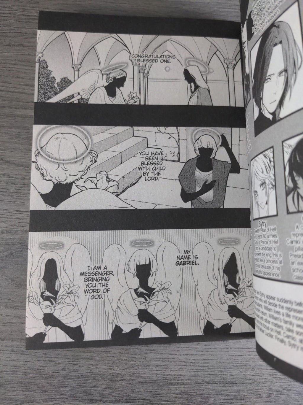 Devils and Realist Vol 13 by Madoka Takadono Manga Paperback Graphic Novel 2017