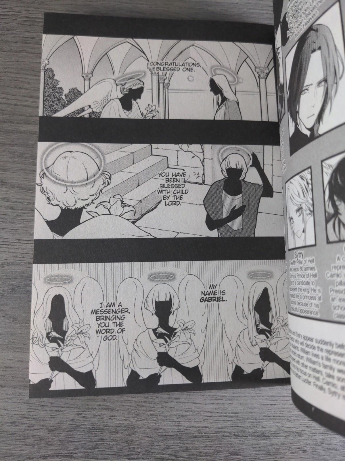 Devils and Realist Vol 13 by Madoka Takadono Manga Paperback Graphic Novel 2017