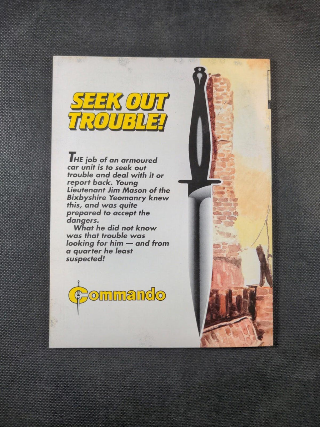 Commando Comic Issue Number 3146 Seek Out Trouble!