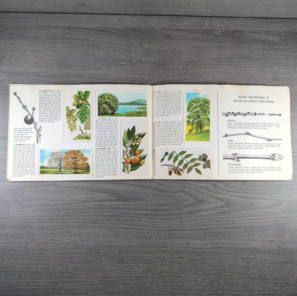 Brooke Bond Tea Picture Cards Album Trees In Britain Complete Set
