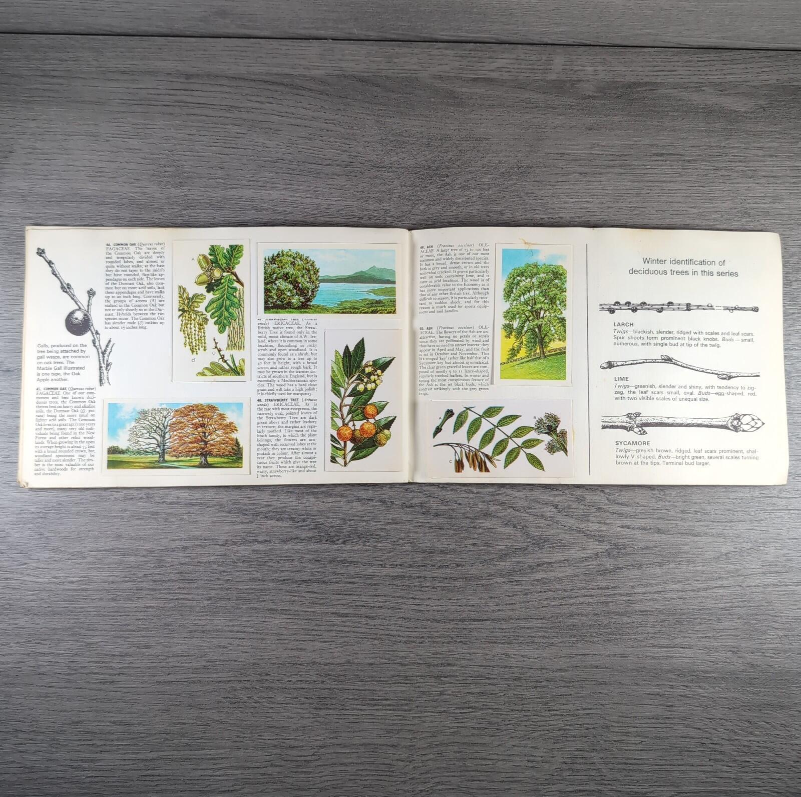 Brooke Bond Tea Picture Cards Album Trees In Britain Complete Set