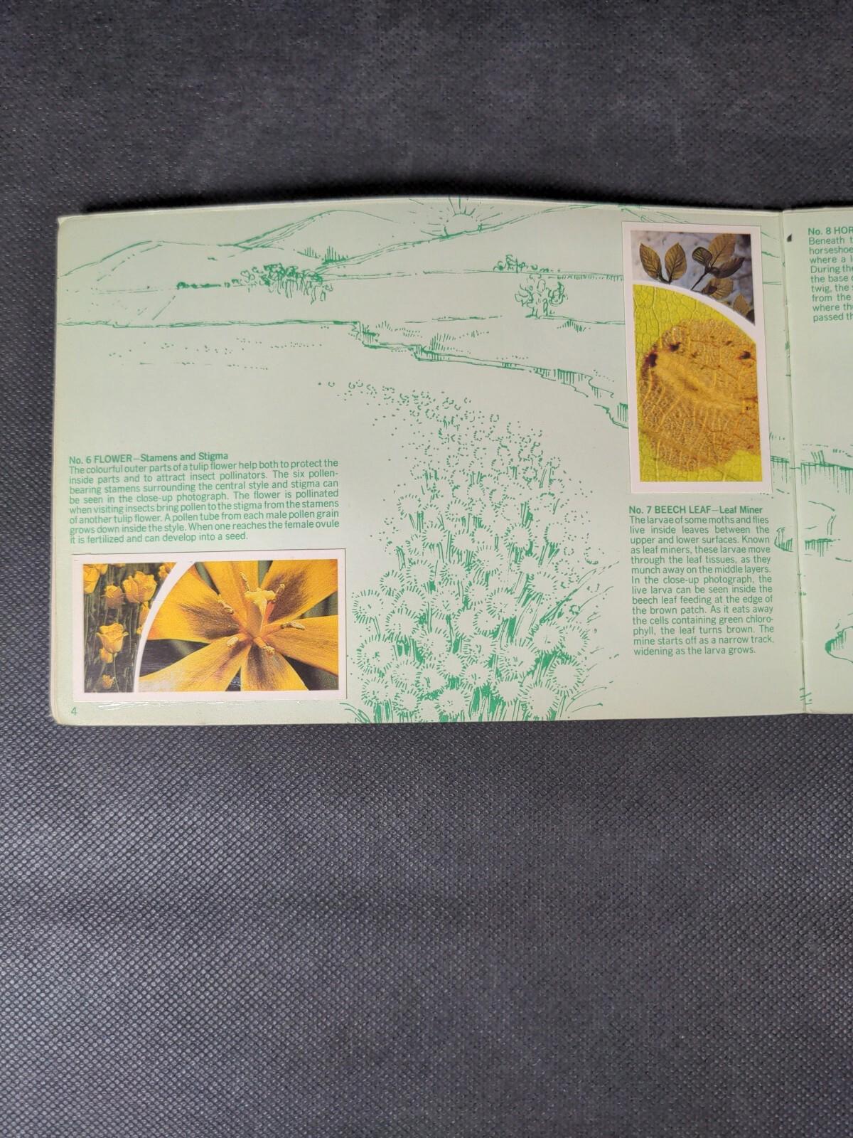 Brooke Bond Tea Cards: Small Wonders Album Complete With All Cards In The Set