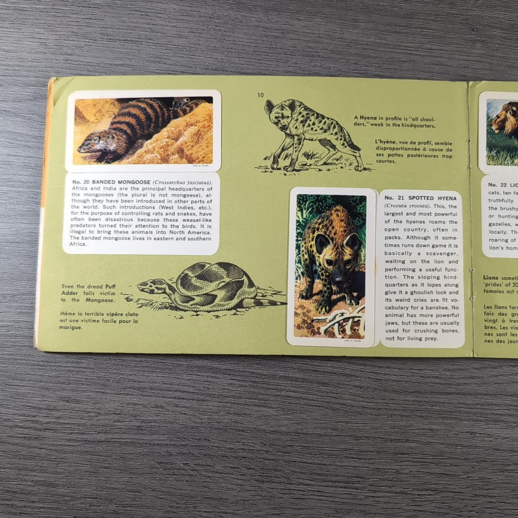 African Animals Brooke Bond Album No 7 Tea Cards Vintage Collectors Cards