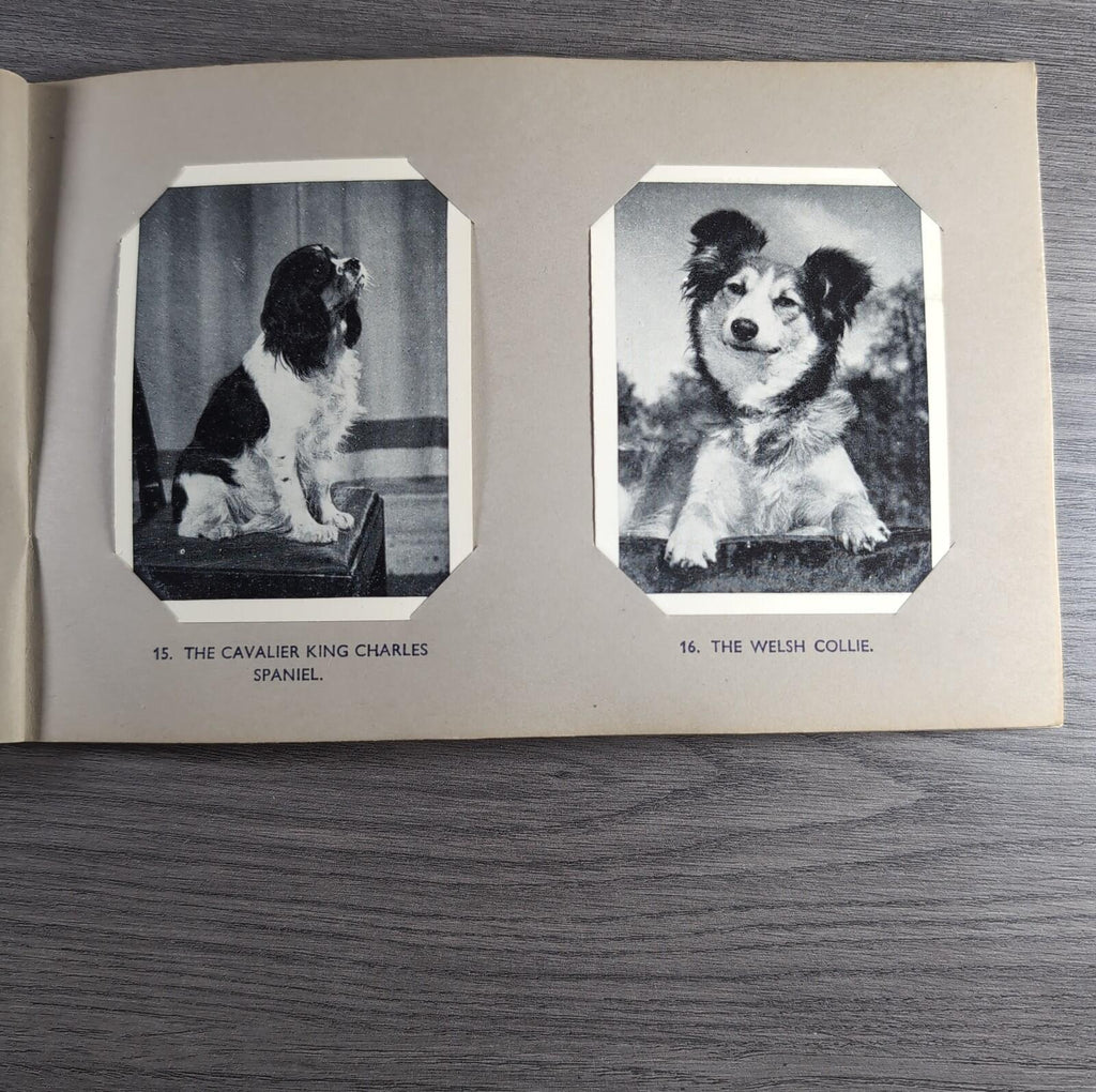 Good Dogs Trex J Bibby 1955 Full Set 25 Cards In Album Collectors Trading Cards