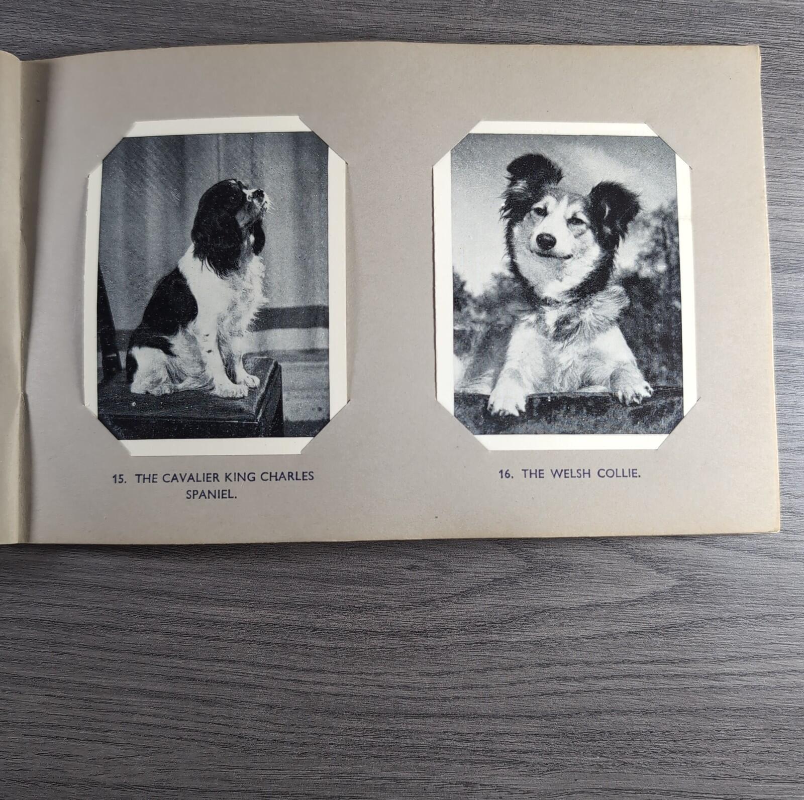 Good Dogs Trex J Bibby 1955 Full Set 25 Cards In Album Collectors Trading Cards