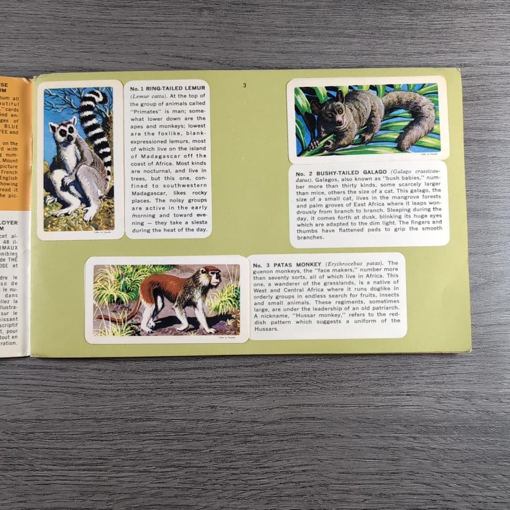 African Animals Brooke Bond Album No 7 Tea Cards Vintage Collectors Cards