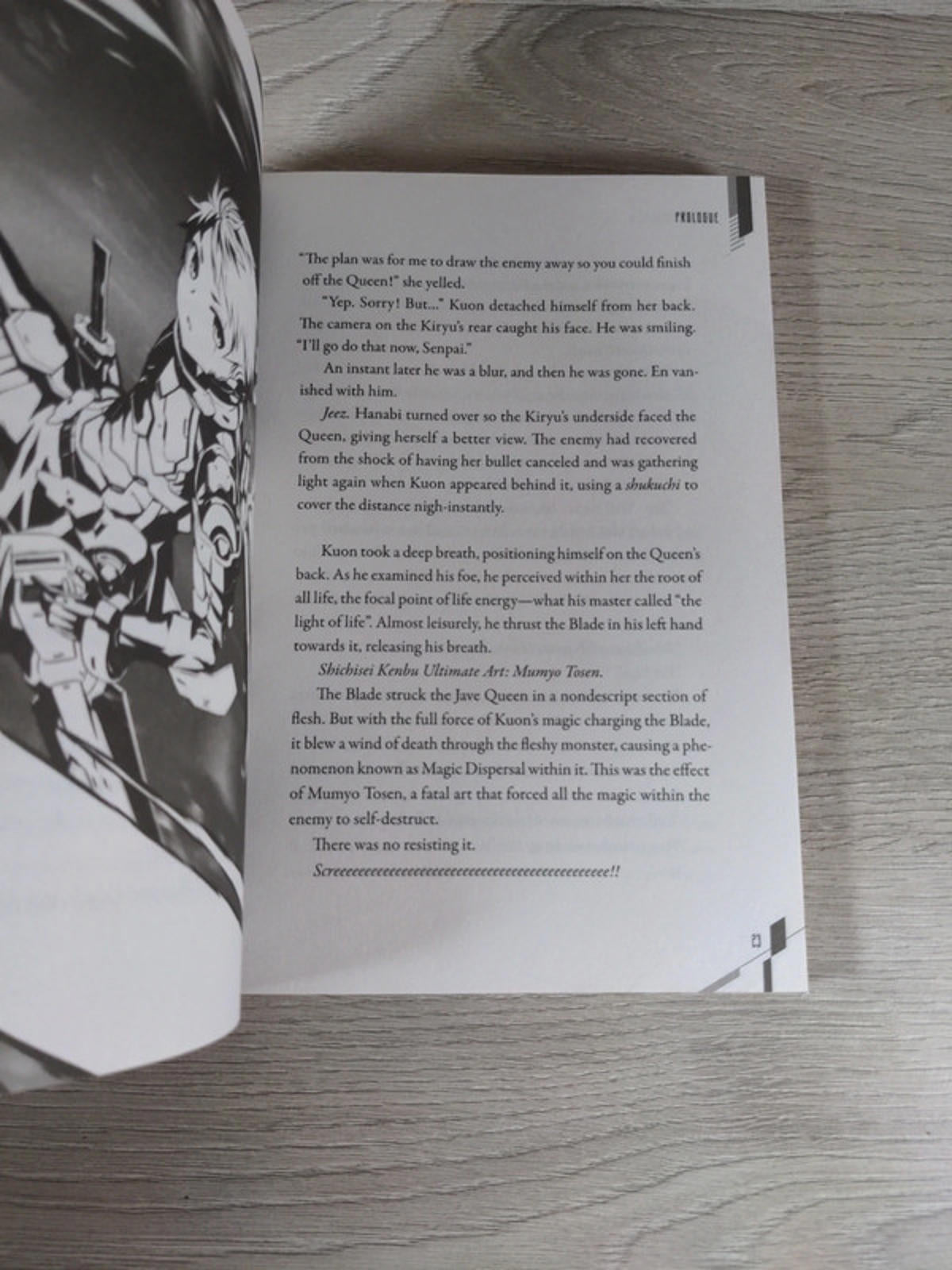 Division Maneuver Vol. 2 - Binary Hero by Shippo Senoo Paperback Novel 2019