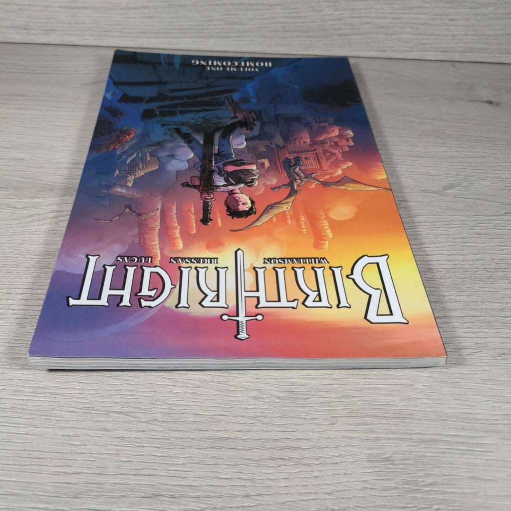 Birthright Volume 1: Homecoming by Joshua Williamson Paperback 2018 Image Comics - Retrorama UK