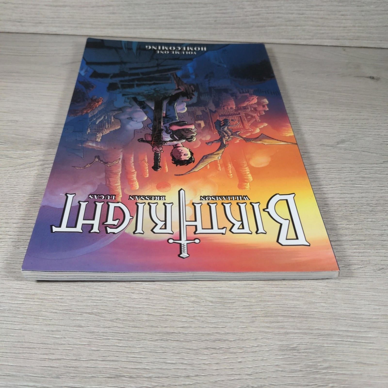 Birthright Volume 1: Homecoming by Joshua Williamson Paperback 2018 Image Comics - Retrorama UK