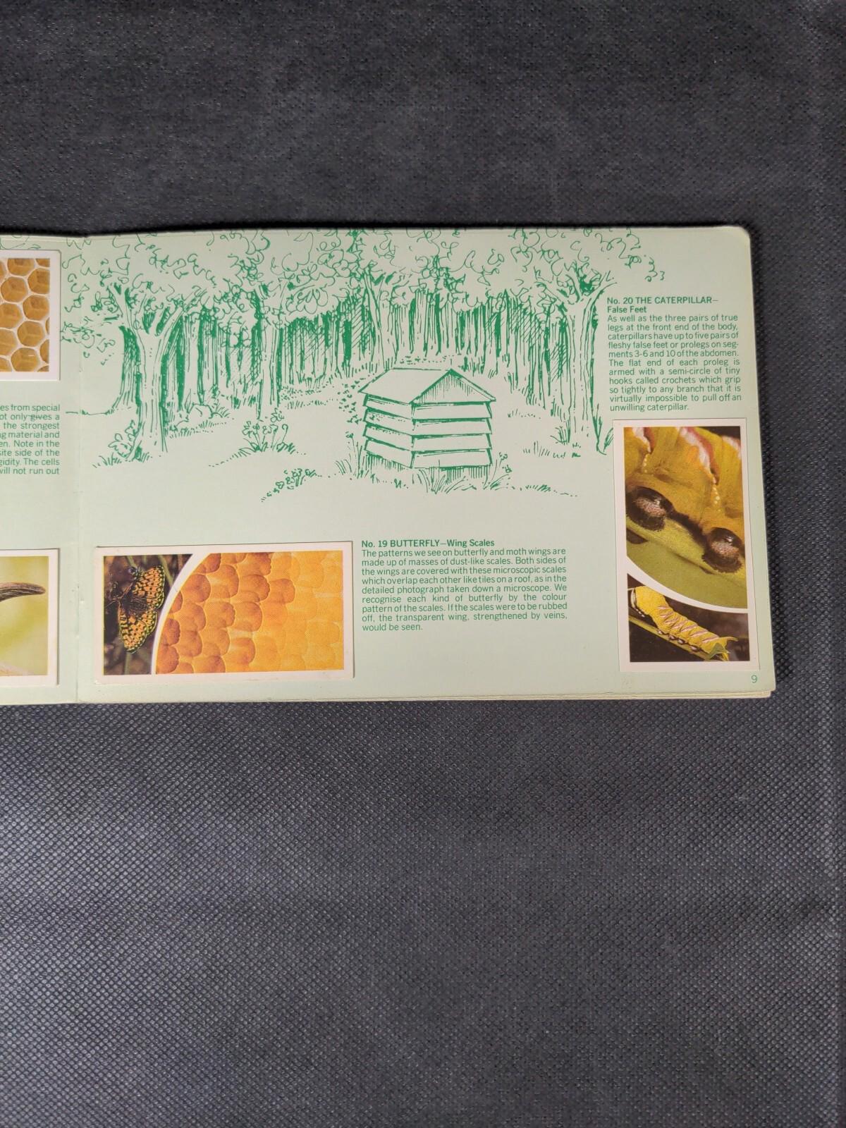 Brooke Bond Tea Cards: Small Wonders Album Complete With All Cards In The Set