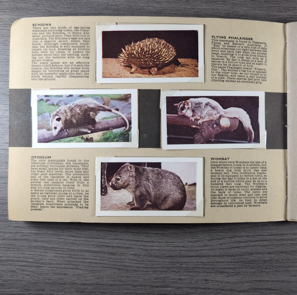 Hornimans Tea Picture Card Album On Safari Complete Set