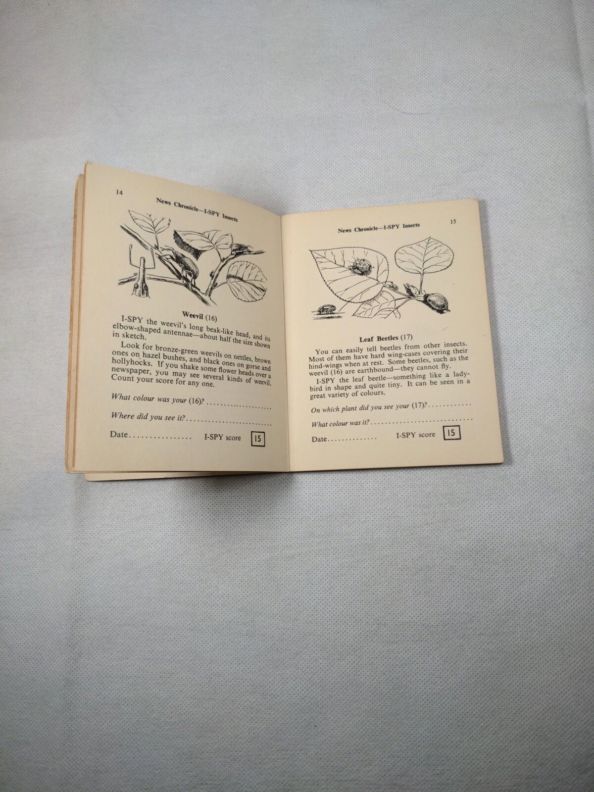 Vintage I-Spy News Chronicle Book Issue Insects - Retrorama UK
