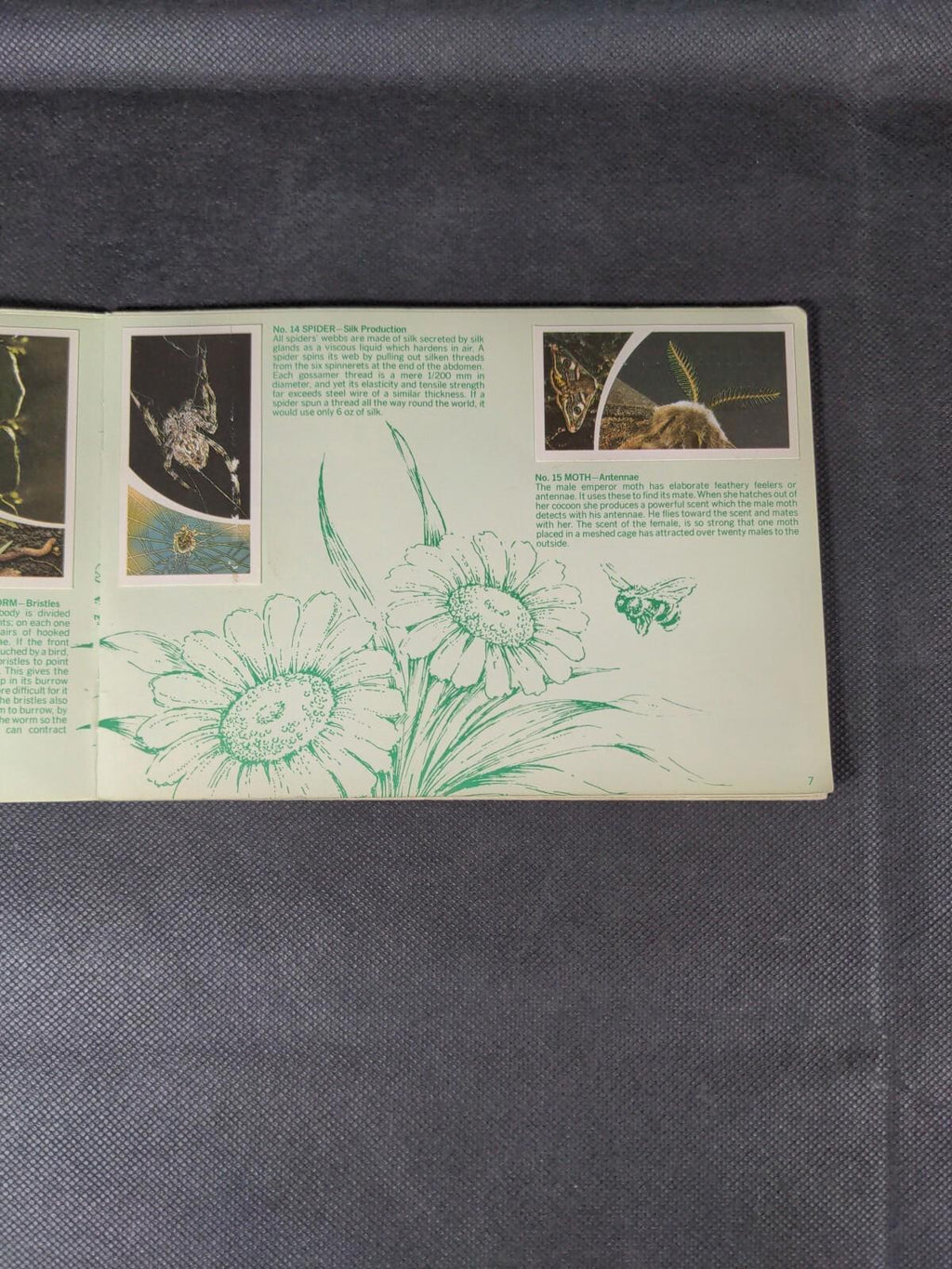 Brooke Bond Tea Cards: Small Wonders Album Complete With All Cards In The Set
