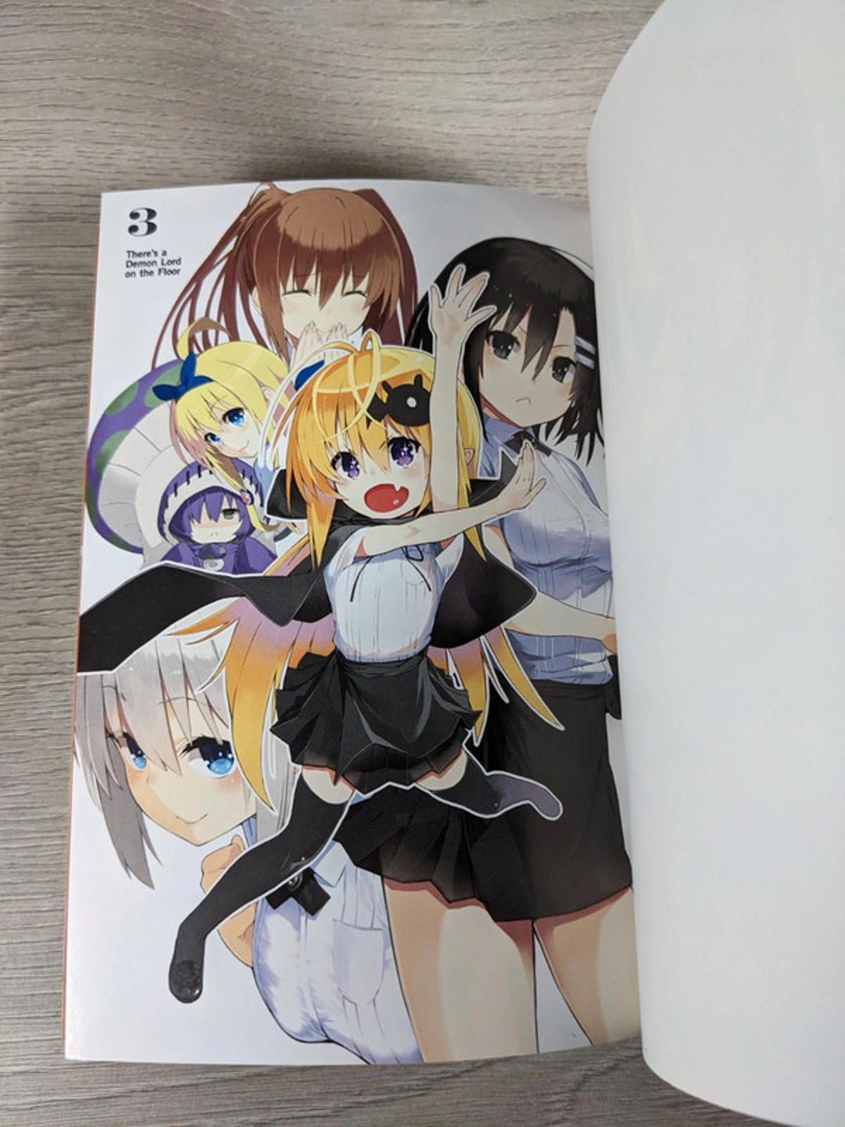 There's a Demon Lord on the Floor: Vol. 3 by Kawakami Masaki Paperback 2017